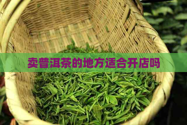 卖普洱茶的地方适合开店吗