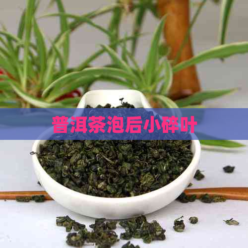 普洱茶泡后小碎叶