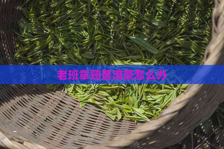 老班章熟普洱茶怎么办