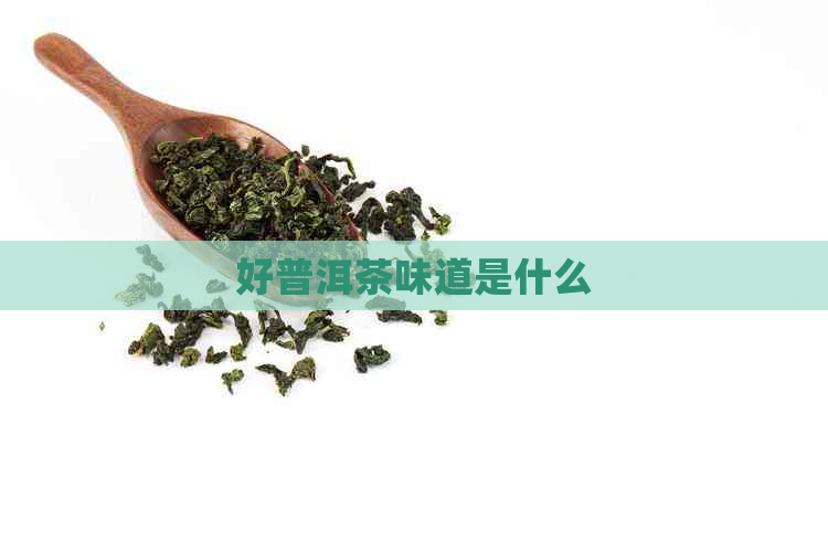 好普洱茶味道是什么