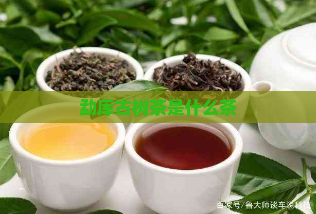 勐库古树茶是什么茶