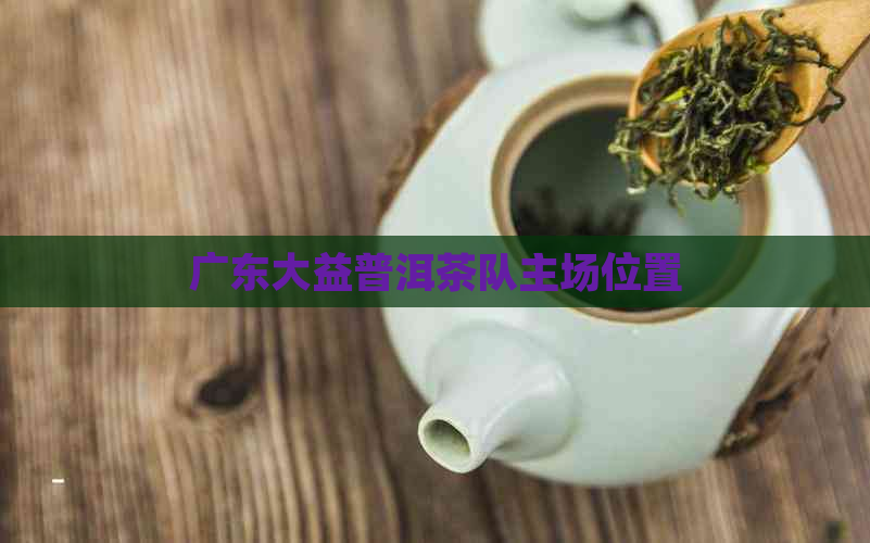 广东大益普洱茶队主场位置