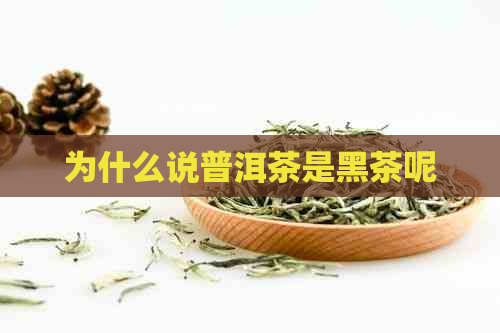 为什么说普洱茶是黑茶呢