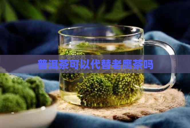 普洱茶可以代替老鹰茶吗