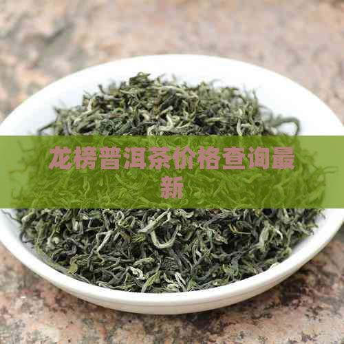 龙榜普洱茶价格查询最新