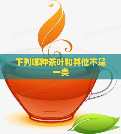 下列哪种茶叶和其他不是一类