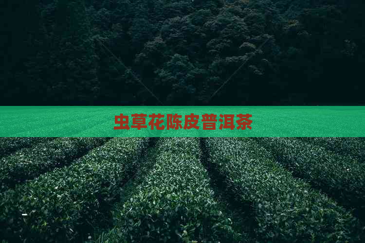 虫草花陈皮普洱茶