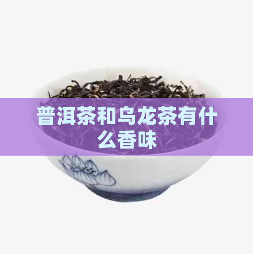 普洱茶和乌龙茶有什么香味