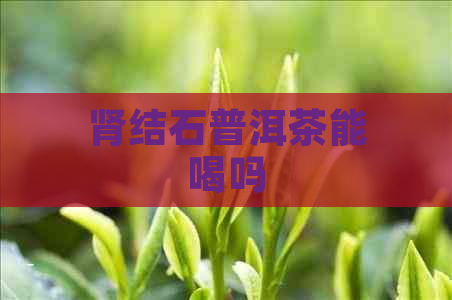 肾结石普洱茶能喝吗