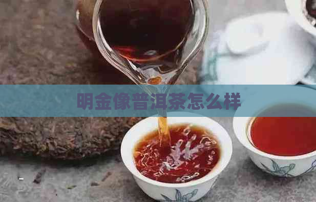 明金像普洱茶怎么样