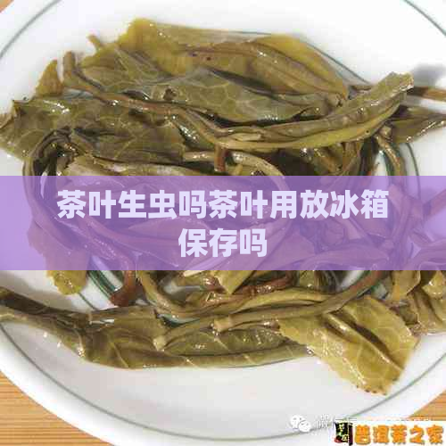 茶叶生虫吗茶叶用放冰箱保存吗