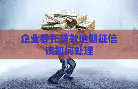 企业委托贷款逾期该如何处理