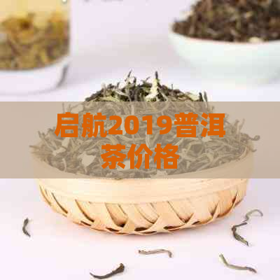 启航2019普洱茶价格