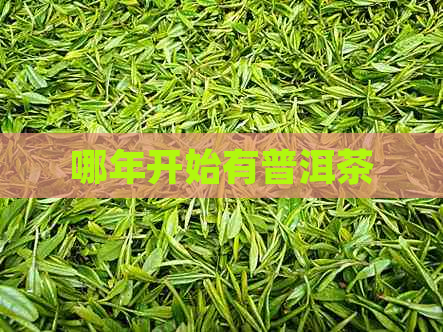 哪年开始有普洱茶