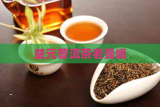 益元普洱茶老曼峨