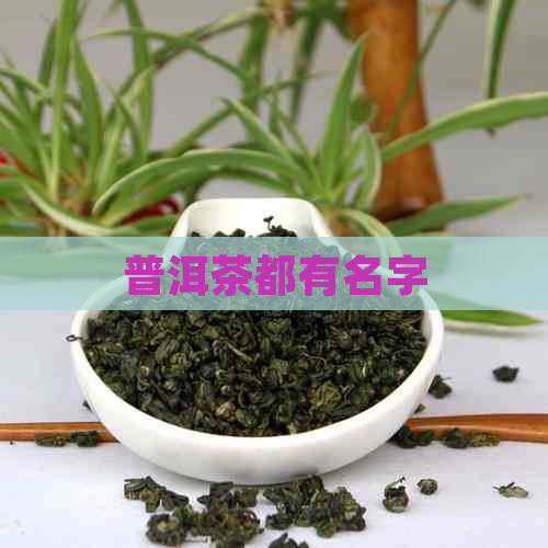 普洱茶都有名字