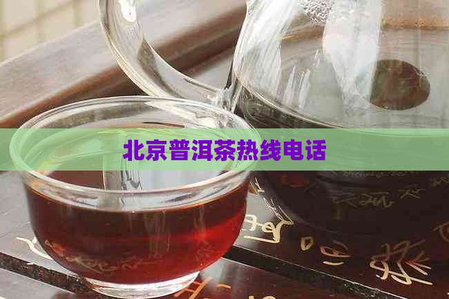 北京普洱茶热线电话