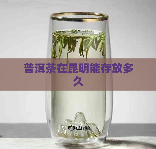 普洱茶在昆明能存放多久