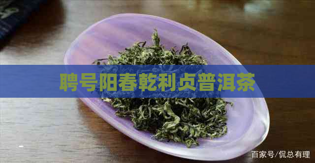 聘号阳春乾利贞普洱茶