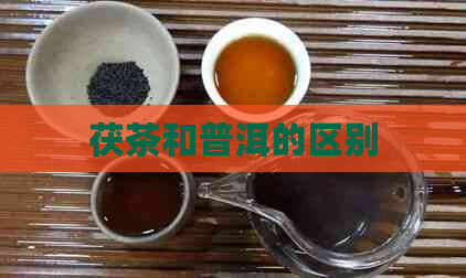 茯茶和普洱的区别