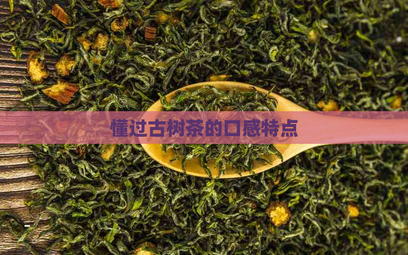 懂过古树茶的口感特点