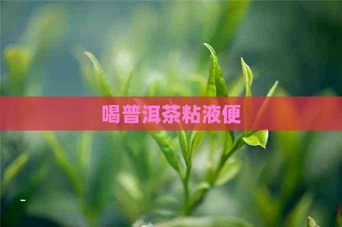 喝普洱茶粘液便