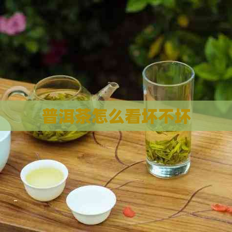 普洱茶怎么看坏不坏