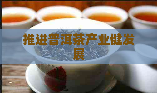 推进普洱茶产业健发展