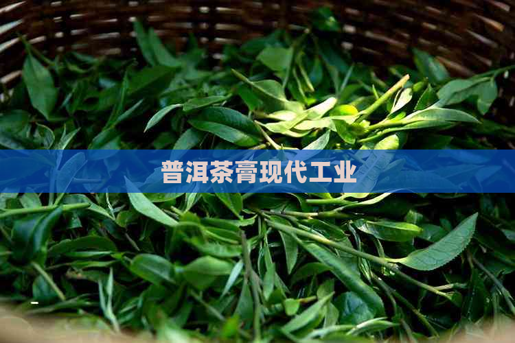 普洱茶膏现代工业