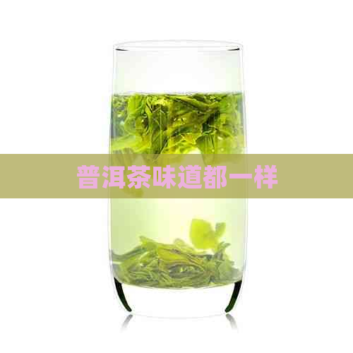 普洱茶味道都一样