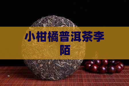 小柑橘普洱茶李陌