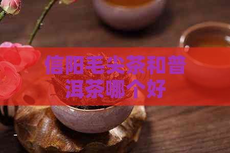 信阳毛尖茶和普洱茶哪个好