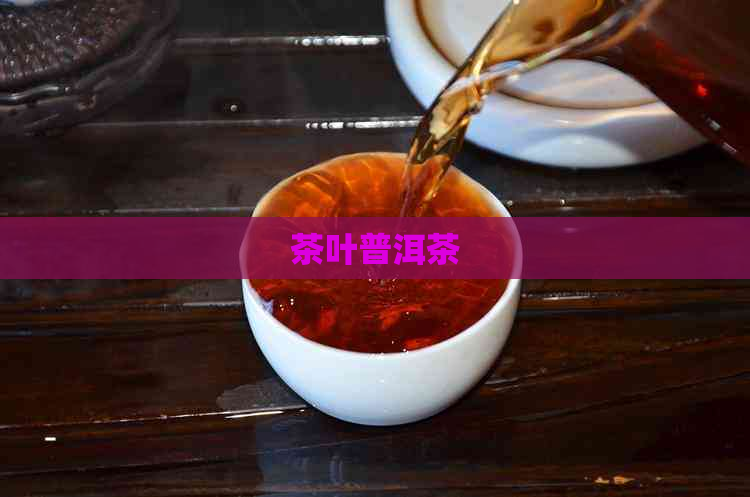 茶叶普洱茶