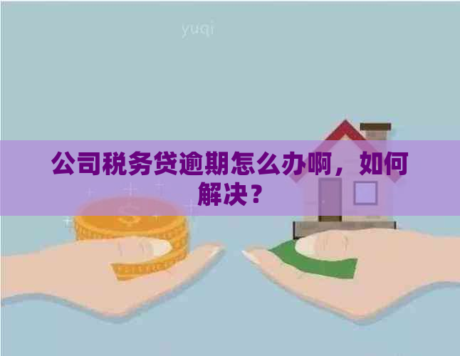 公司税务贷逾期怎么办啊，如何解决？