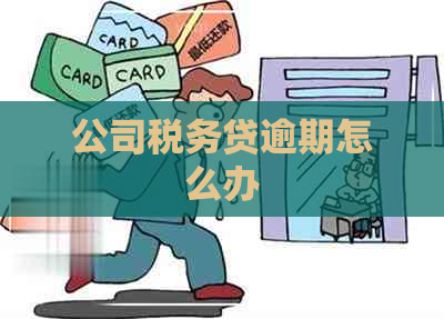 公司税务贷逾期怎么办