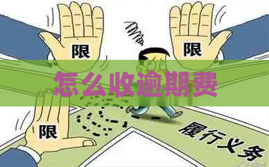 怎么收逾期费