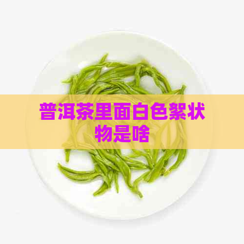 普洱茶里面白色絮状物是啥