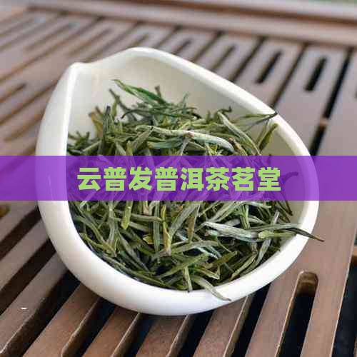 云普发普洱茶茗堂