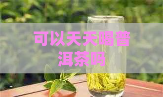 可以天天喝普洱茶吗