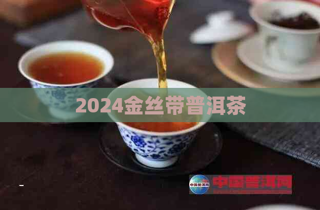 2024金丝带普洱茶