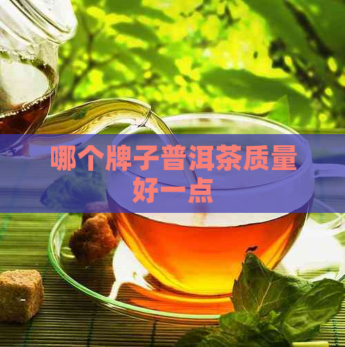 哪个牌子普洱茶质量好一点