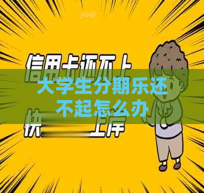 大学生还不起怎么办