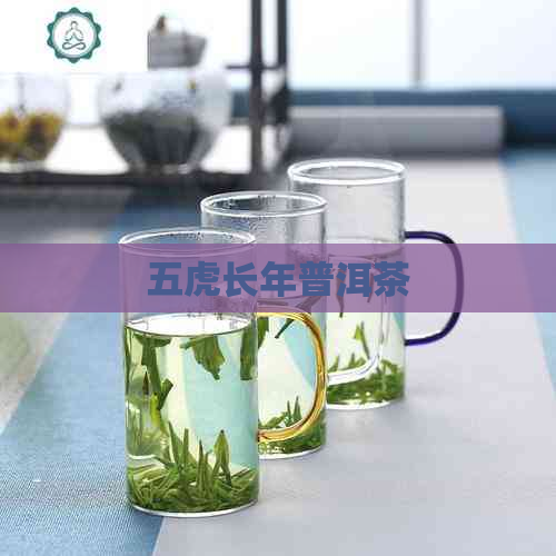 五虎长年普洱茶