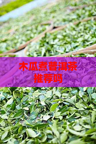 木瓜煮普洱茶推荐吗