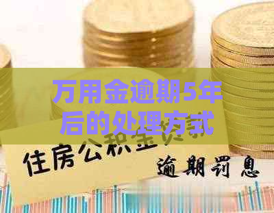 万用金逾期5年后的处理方式