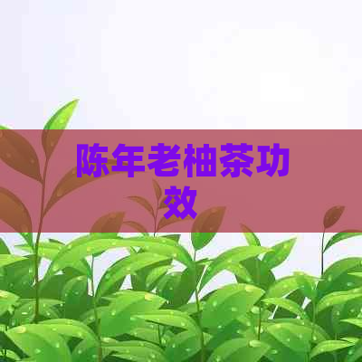 陈年老柚茶功效