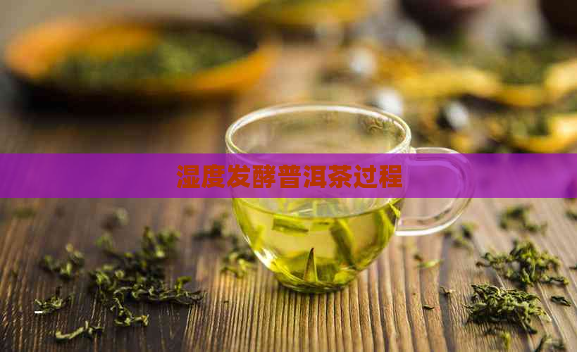 湿度发酵普洱茶过程