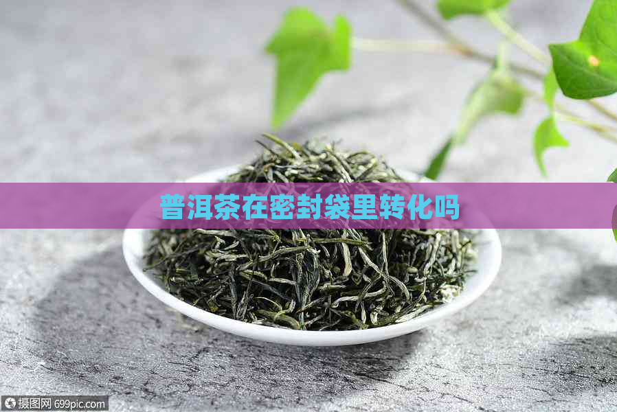 普洱茶在密封袋里转化吗