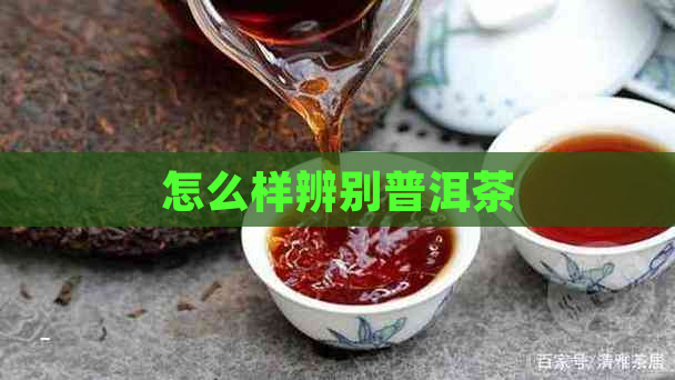 怎么样辨别普洱茶