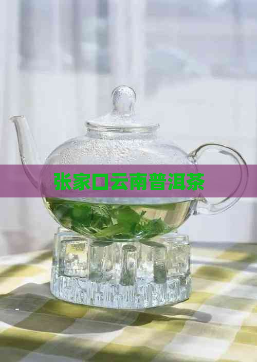 张家口云南普洱茶